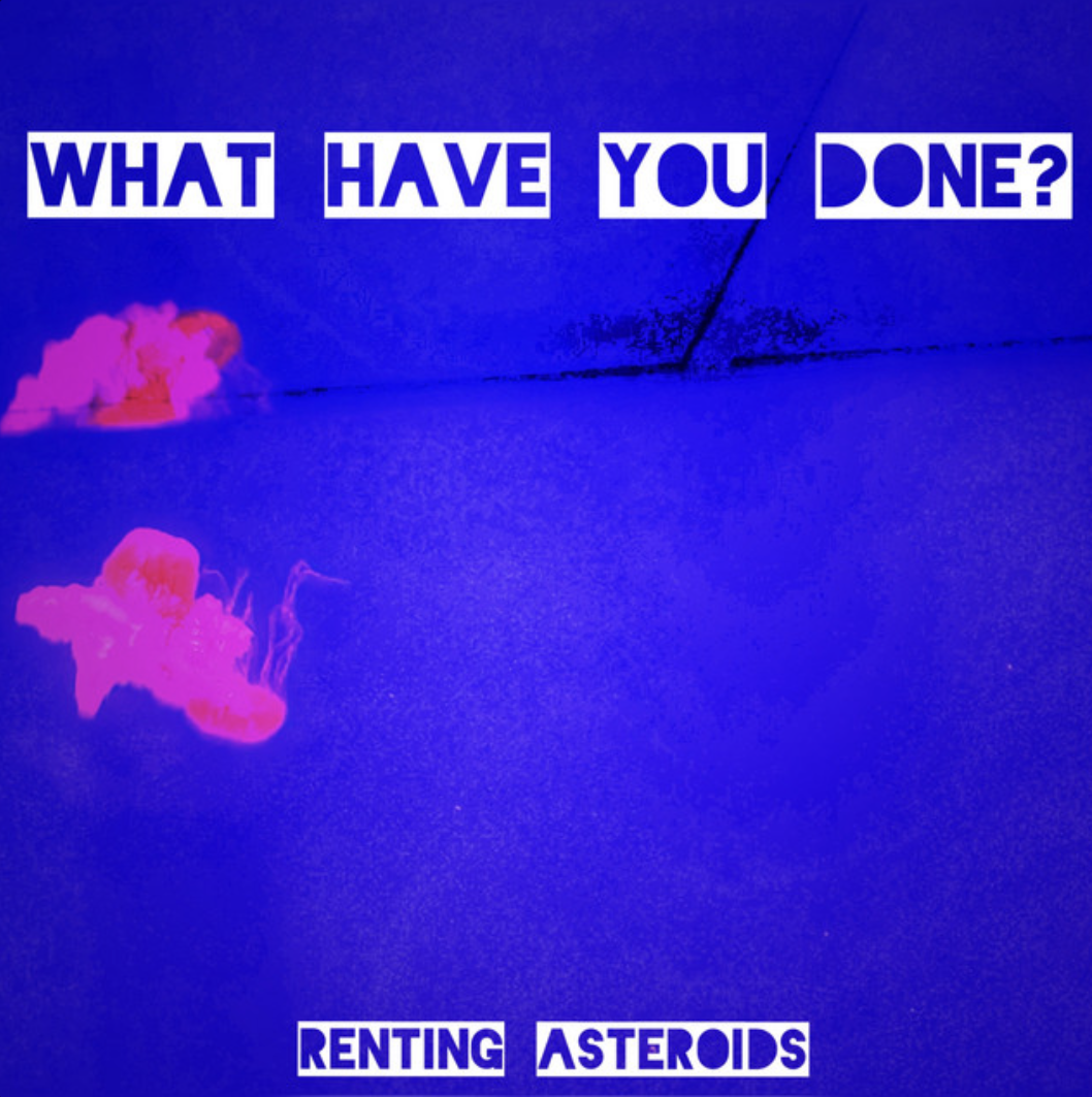 What Have You Done?